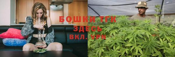 МДПВ Ельня