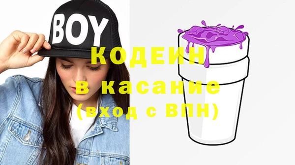 бошки Елабуга