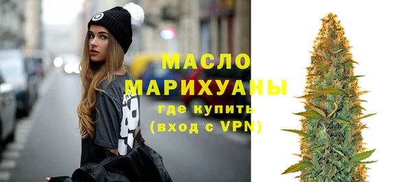 МДПВ Ельня
