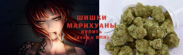МДПВ Ельня