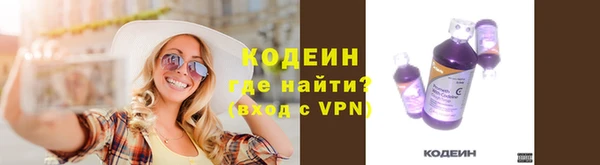 МДПВ Ельня