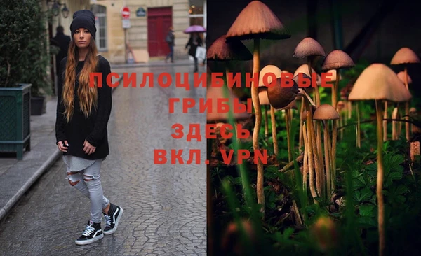 МДПВ Ельня