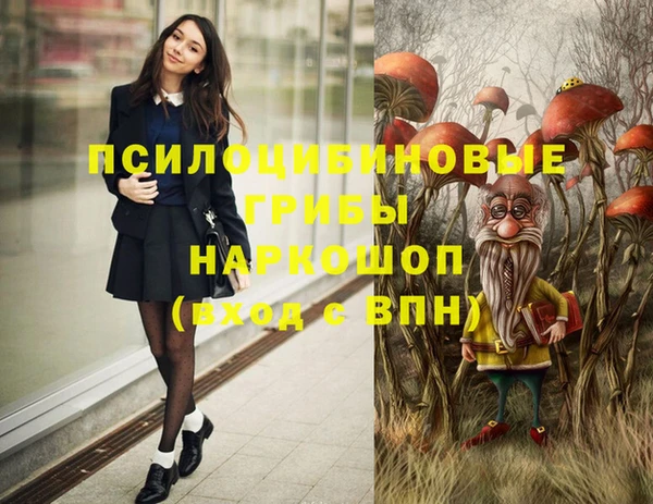 бошки Елабуга