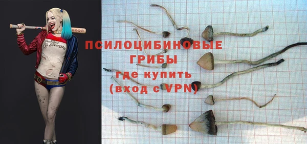 а пвп мука Елизово