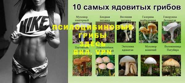 а пвп мука Елизово