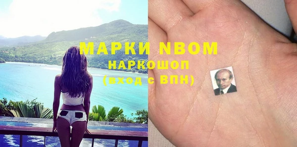 бошки Елабуга