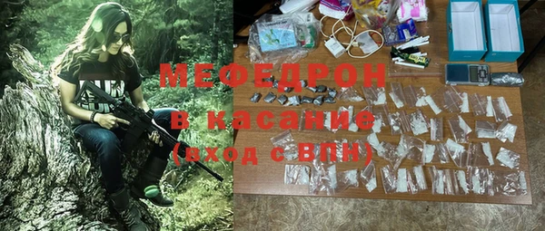МДПВ Ельня