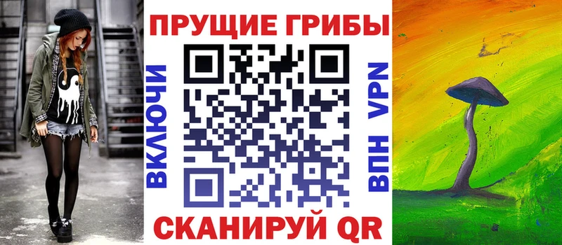 Псилоцибиновые грибы Psilocybe  Купить закладки  Спасск 